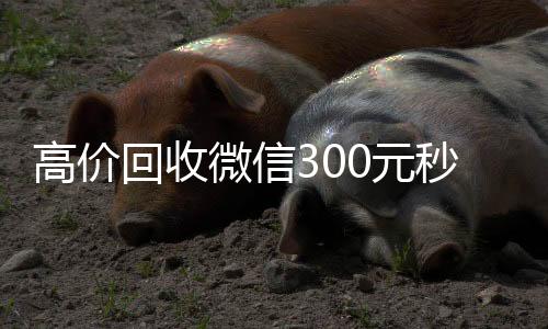 高价回收微信30vx回收秒结0元秒结（高价24小时回收微信）